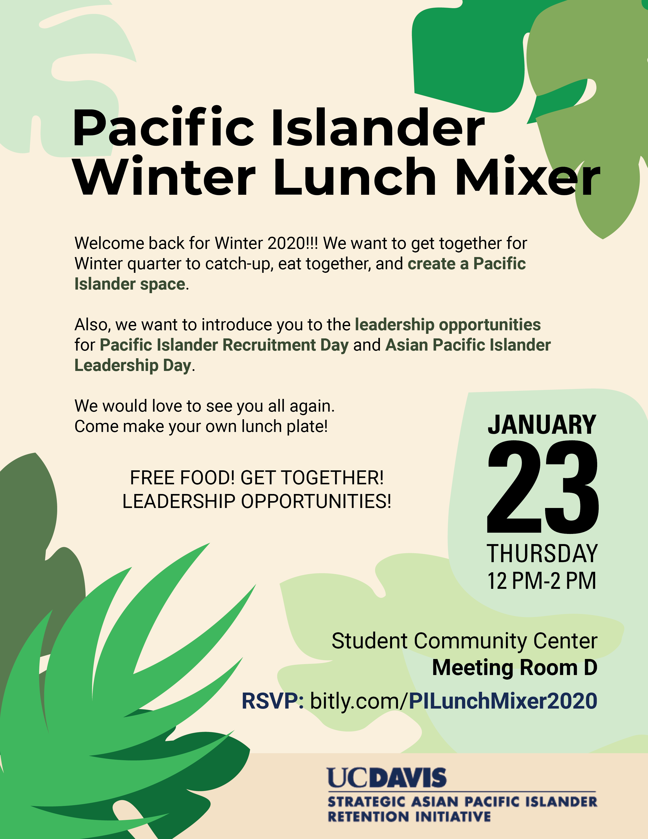 Pacific Islander Winter Mixer Flyer